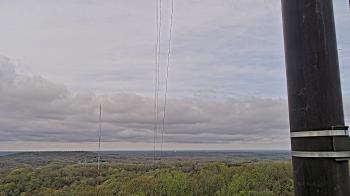 Weather camera view of Townes 5G LLC.