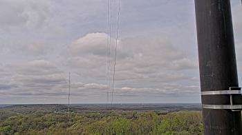 Weather camera view of Townes 5G LLC.