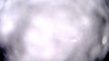 Weather camera view of Madison Public Safety Building.