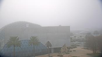 Weather camera view of Mahaffey Theater.