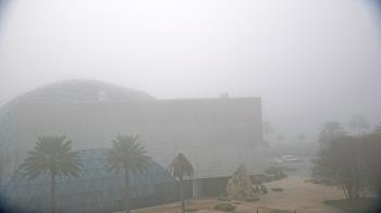 Weather camera view of Mahaffey Theater.