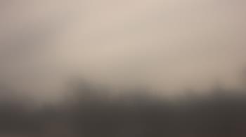 Weather camera view of Lincoln Elementary School.