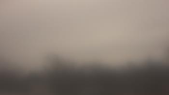 Weather camera view of Lincoln Elementary School.