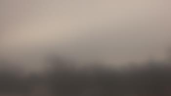 Weather camera view of Lincoln Elementary School.