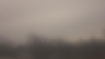 Weather camera view of Lincoln Elementary School.