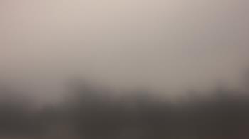 Weather camera view of Lincoln Elementary School.