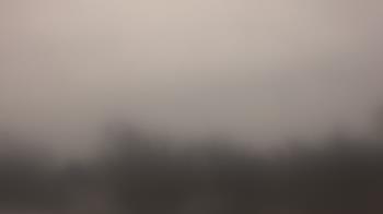 Weather camera view of Lincoln Elementary School.