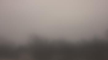 Weather camera view of Lincoln Elementary School.