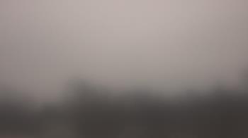 Weather camera view of Lincoln Elementary School.