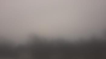 Weather camera view of Lincoln Elementary School.