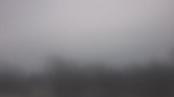 Weather camera view of Lincoln Elementary School.