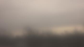 Weather camera view of Lincoln Elementary School.