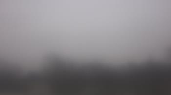 Weather camera view of Lincoln Elementary School.