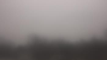 Weather camera view of Lincoln Elementary School.