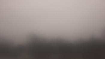 Weather camera view of Lincoln Elementary School.