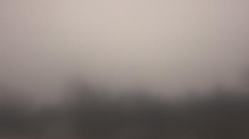 Weather camera view of Lincoln Elementary School.