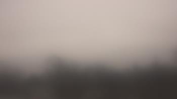 Weather camera view of Lincoln Elementary School.