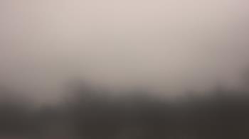 Weather camera view of Lincoln Elementary School.