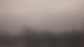 Weather camera view of Lincoln Elementary School.