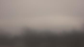 Weather camera view of Lincoln Elementary School.