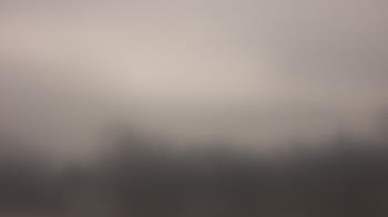 Weather camera view of Lincoln Elementary School.