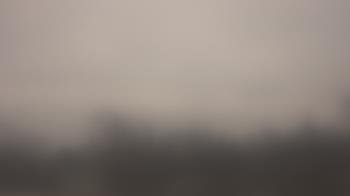 Weather camera view of Lincoln Elementary School.