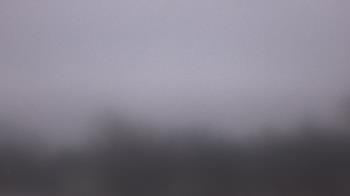 Weather camera view of Lincoln Elementary School.