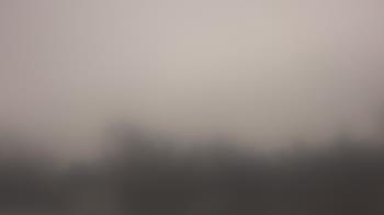 Weather camera view of Lincoln Elementary School.