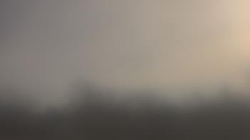 Weather camera view of Lincoln Elementary School.