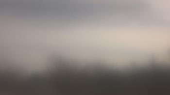 Weather camera view of Lincoln Elementary School.