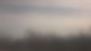 Weather camera view of Lincoln Elementary School.