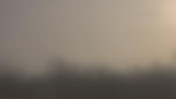 Weather camera view of Lincoln Elementary School.