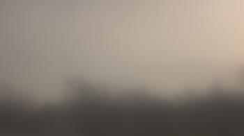 Weather camera view of Lincoln Elementary School.