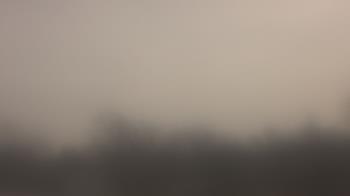 Weather camera view of Lincoln Elementary School.