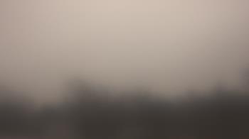 Weather camera view of Lincoln Elementary School.