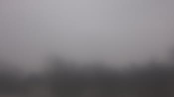 Weather camera view of Lincoln Elementary School.