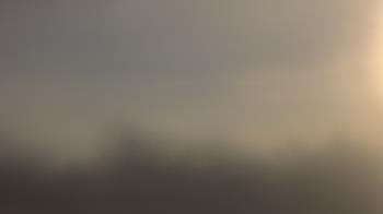 Weather camera view of Lincoln Elementary School.