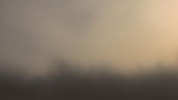 Weather camera view of Lincoln Elementary School.