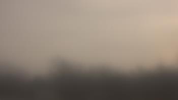 Weather camera view of Lincoln Elementary School.