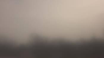 Weather camera view of Lincoln Elementary School.