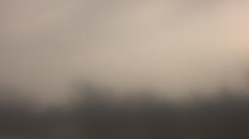 Weather camera view of Lincoln Elementary School.