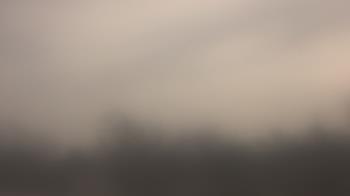 Weather camera view of Lincoln Elementary School.