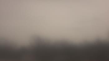 Weather camera view of Lincoln Elementary School.