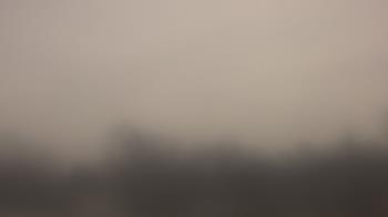 Weather camera view of Lincoln Elementary School.