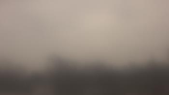 Weather camera view of Lincoln Elementary School.