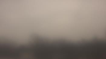 Weather camera view of Lincoln Elementary School.