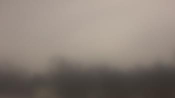 Weather camera view of Lincoln Elementary School.