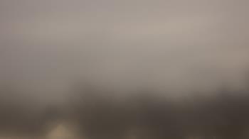 Weather camera view of Lincoln Elementary School.