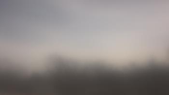 Weather camera view of Lincoln Elementary School.