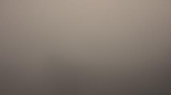 Weather camera view of Lincoln Elementary School.